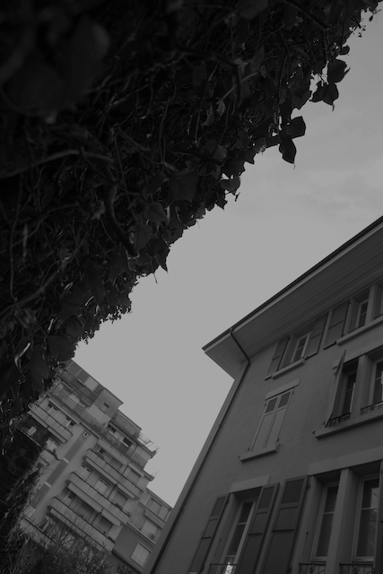 Architecture 8