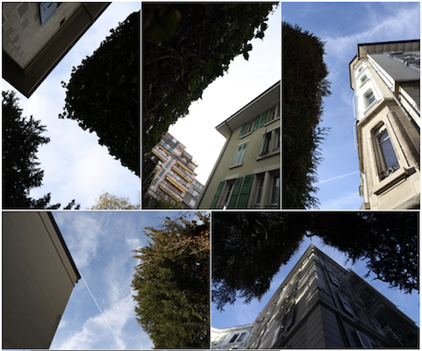 les premières photos